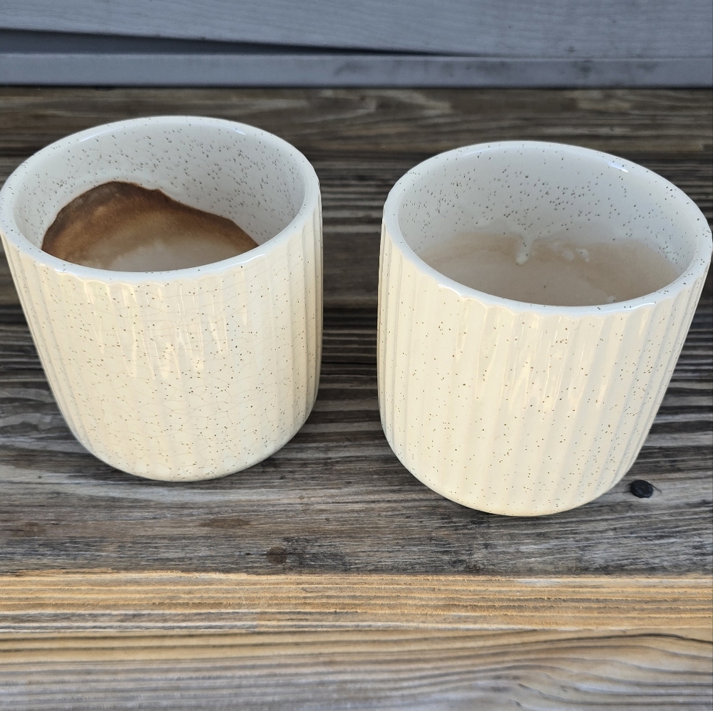Ceramic Plant Pots (2)